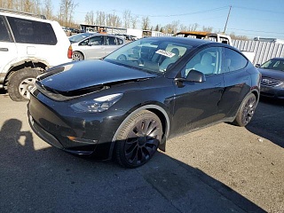 TESLA MODEL Y 2021