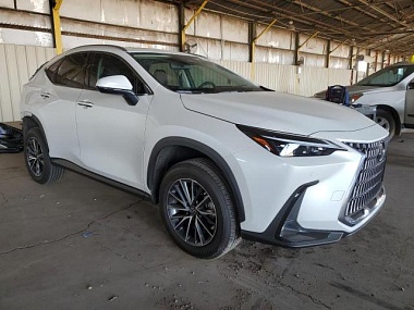 LEXUS NX 350H 2024