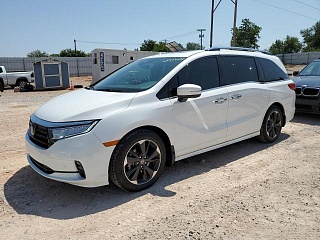 HONDA ODYSSEY ELITE 2024