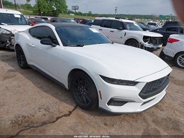 FORD MUSTANG ECOBOOST PREMIUM FASTBACK 2024