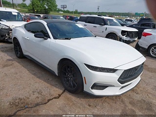 FORD MUSTANG ECOBOOST PREMIUM FASTBACK 2024