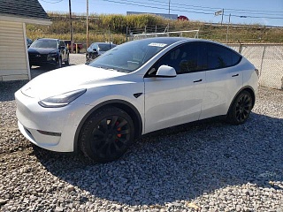 TESLA MODEL Y 2020